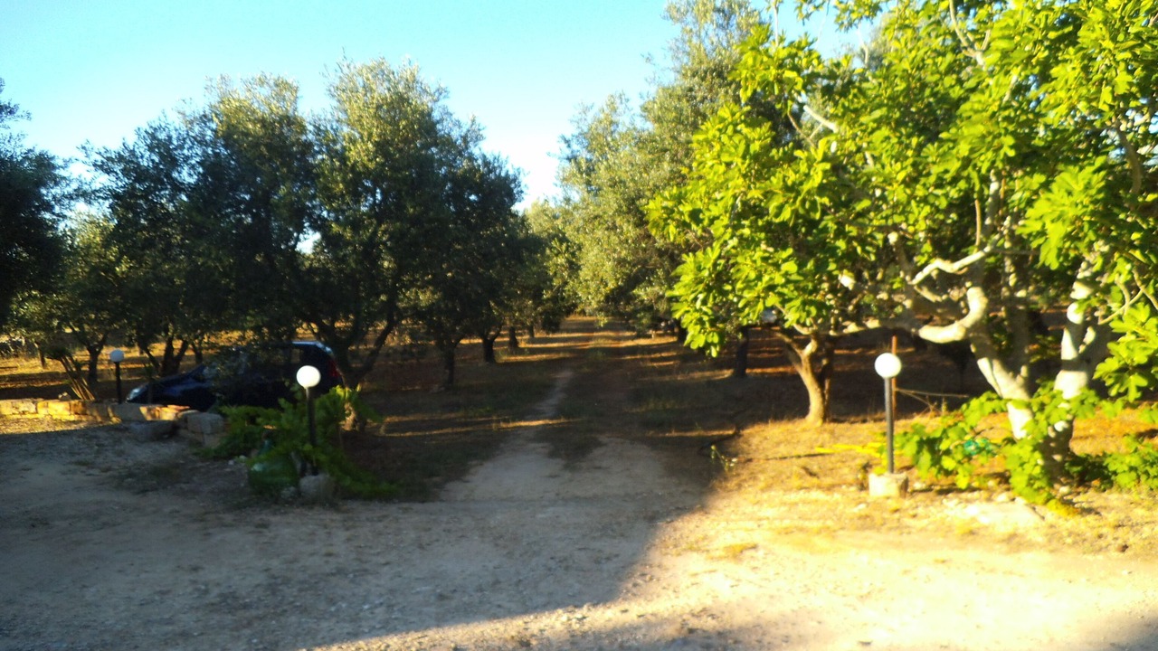 Photo of Outdoor in Alessano