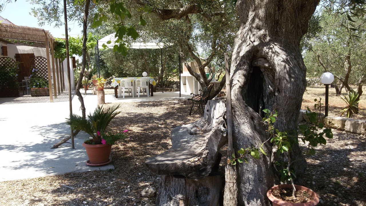 Photo of Outdoor in Alessano