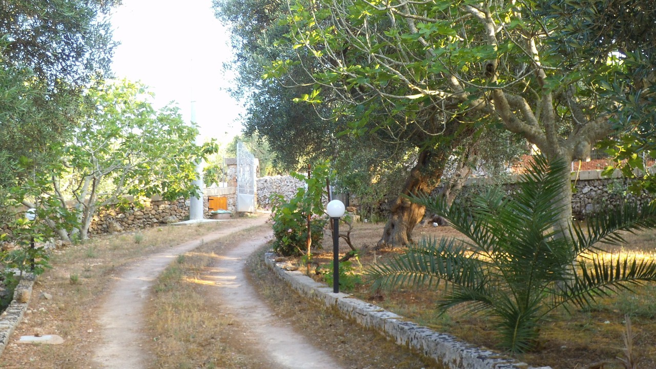 Photo of Outdoor in Alessano