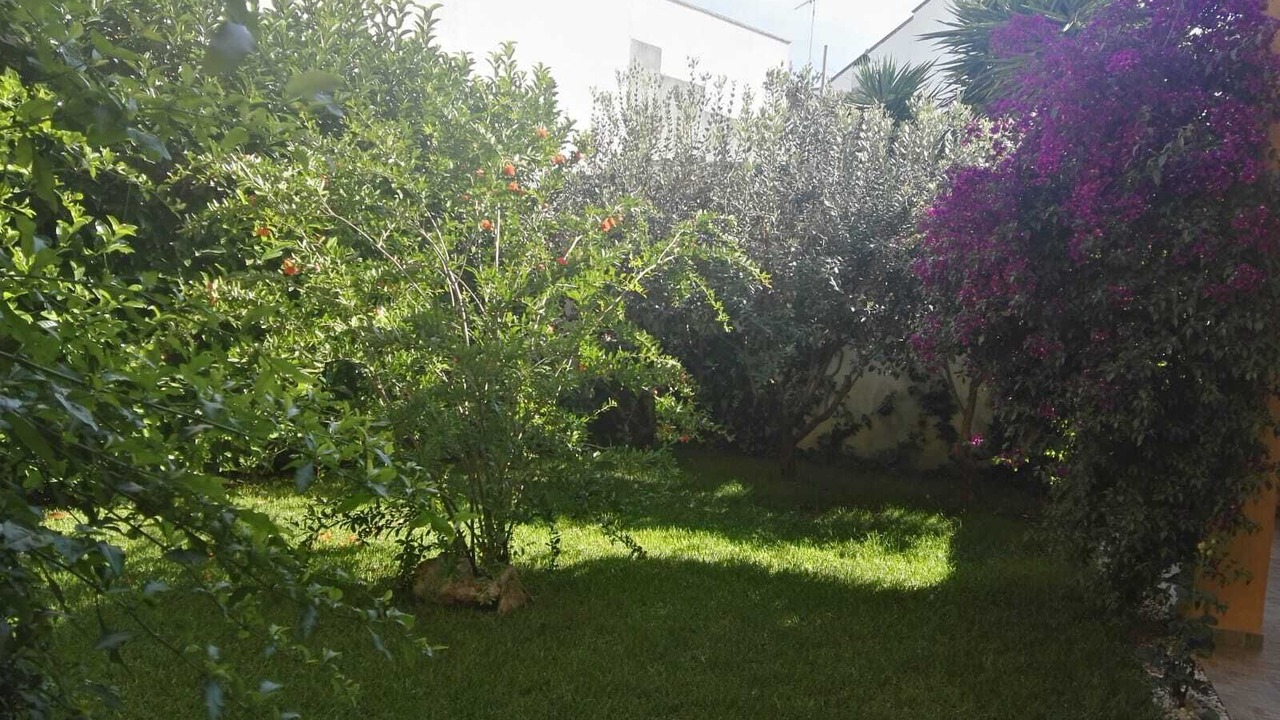 Photo of Outdoor in Taviano