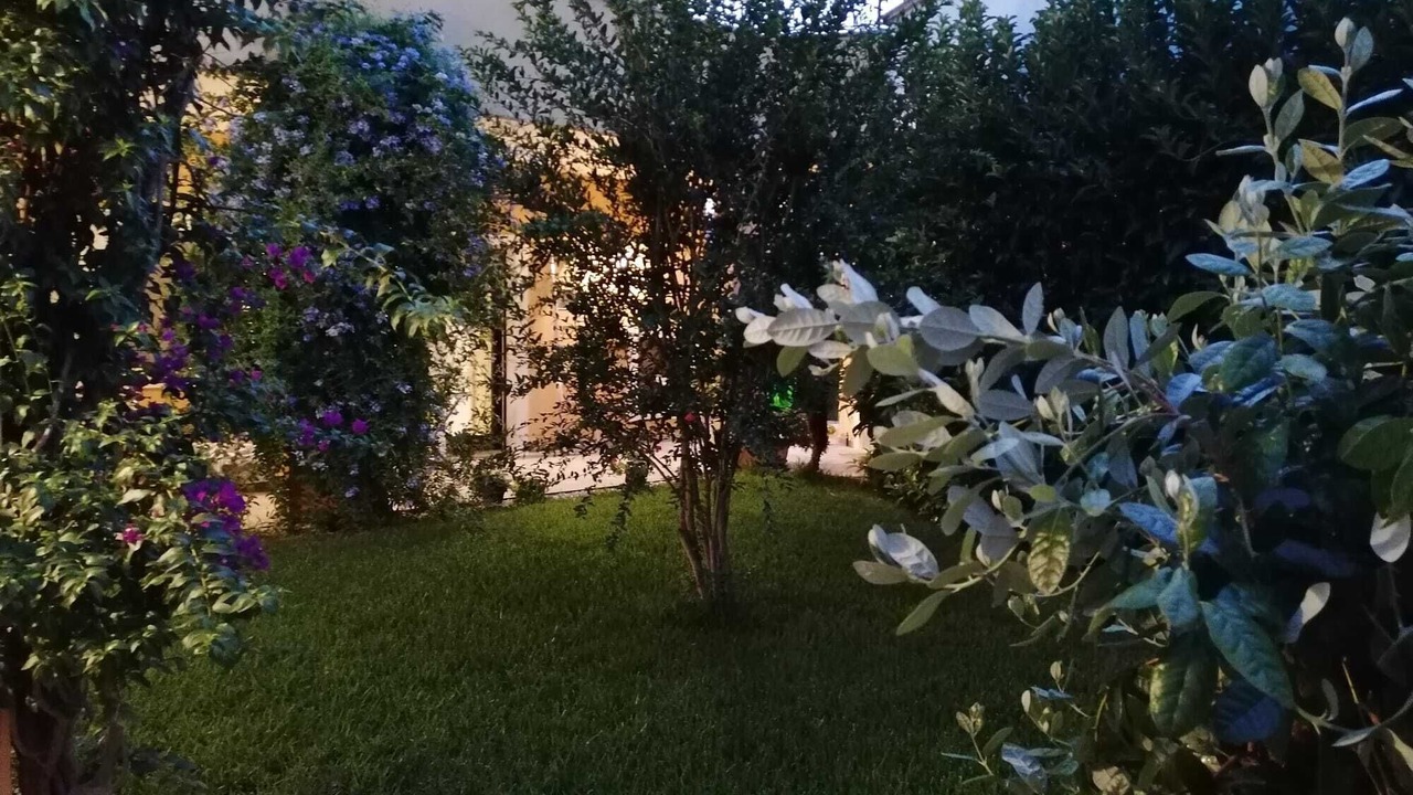 Photo of Outdoor in Taviano