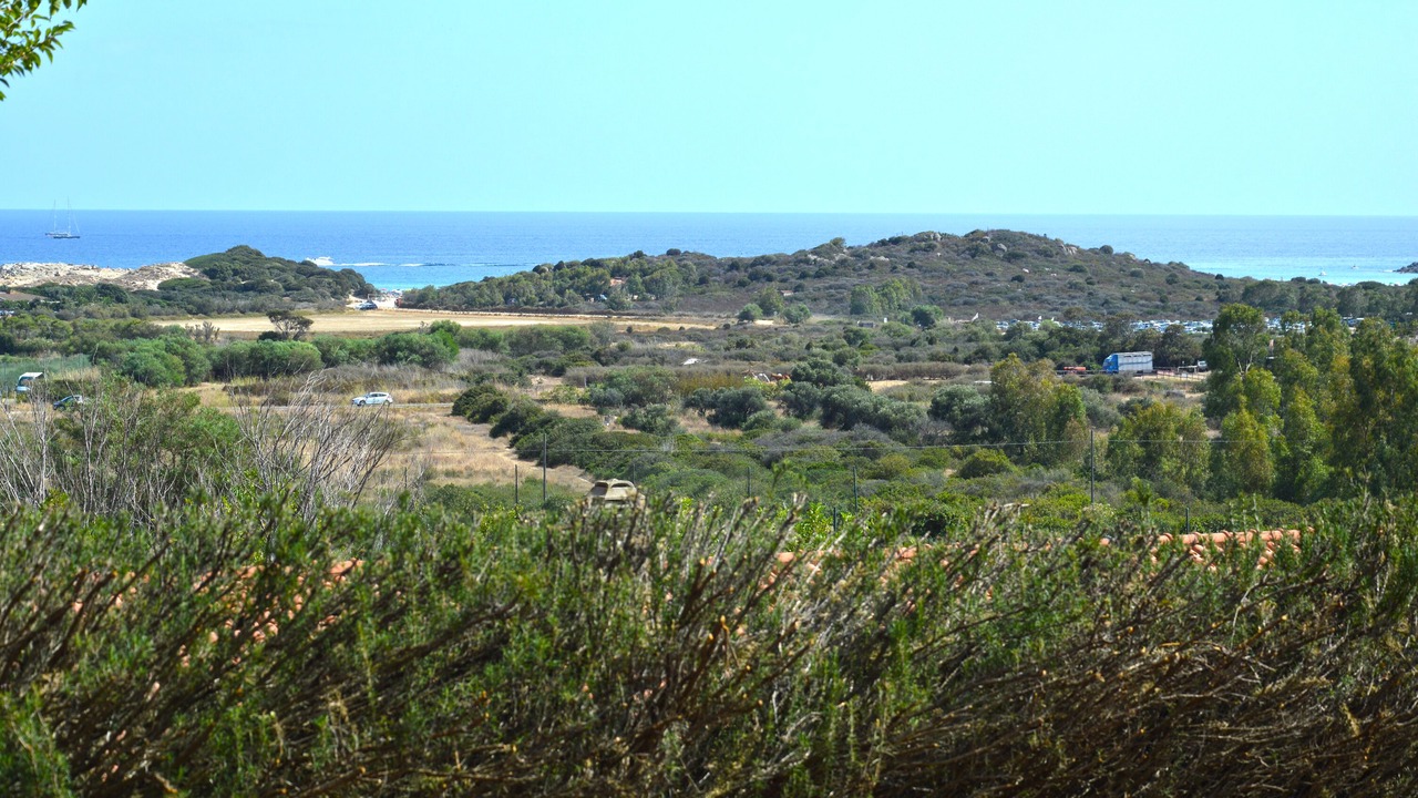 Photo of Others in Chia