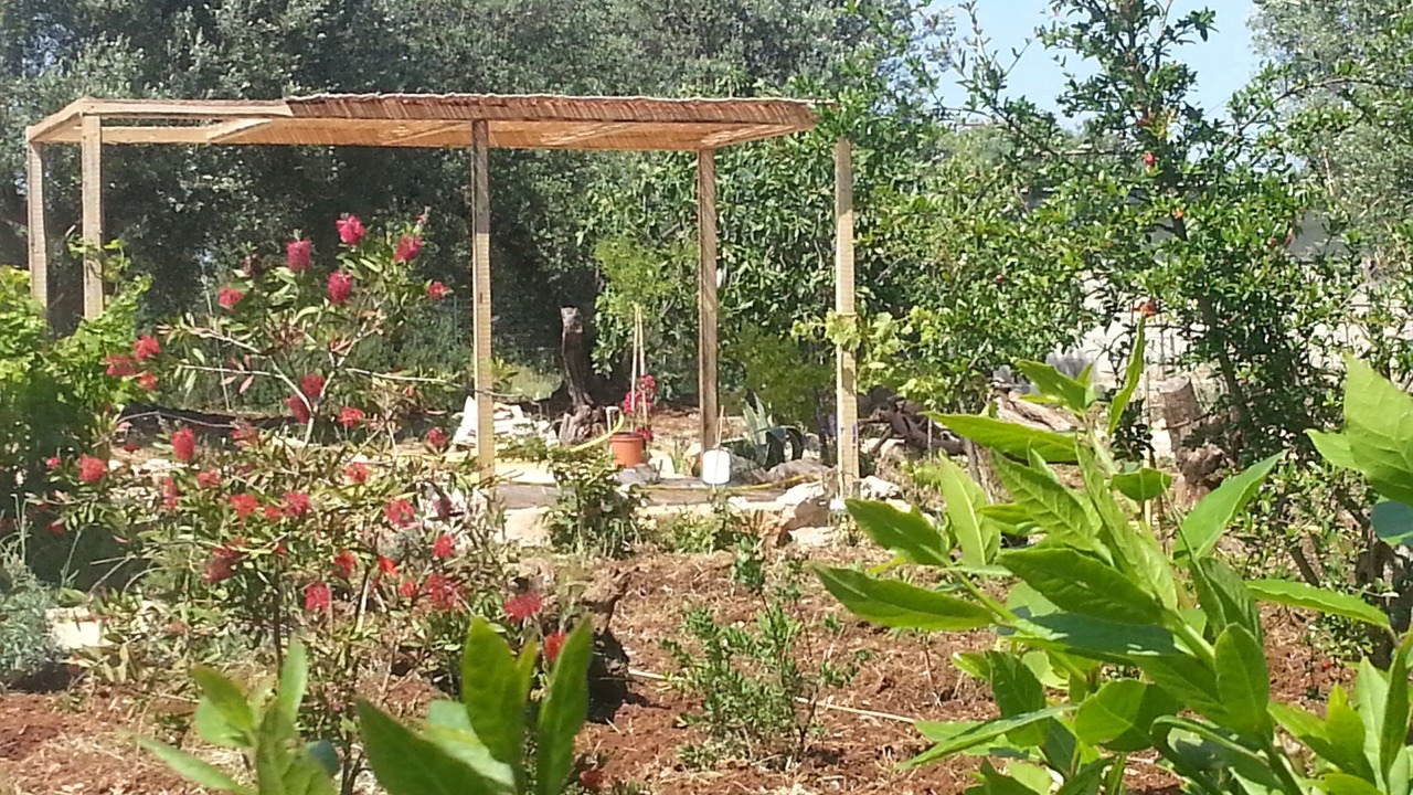 Photo of Outdoor in Ceglie Messapica