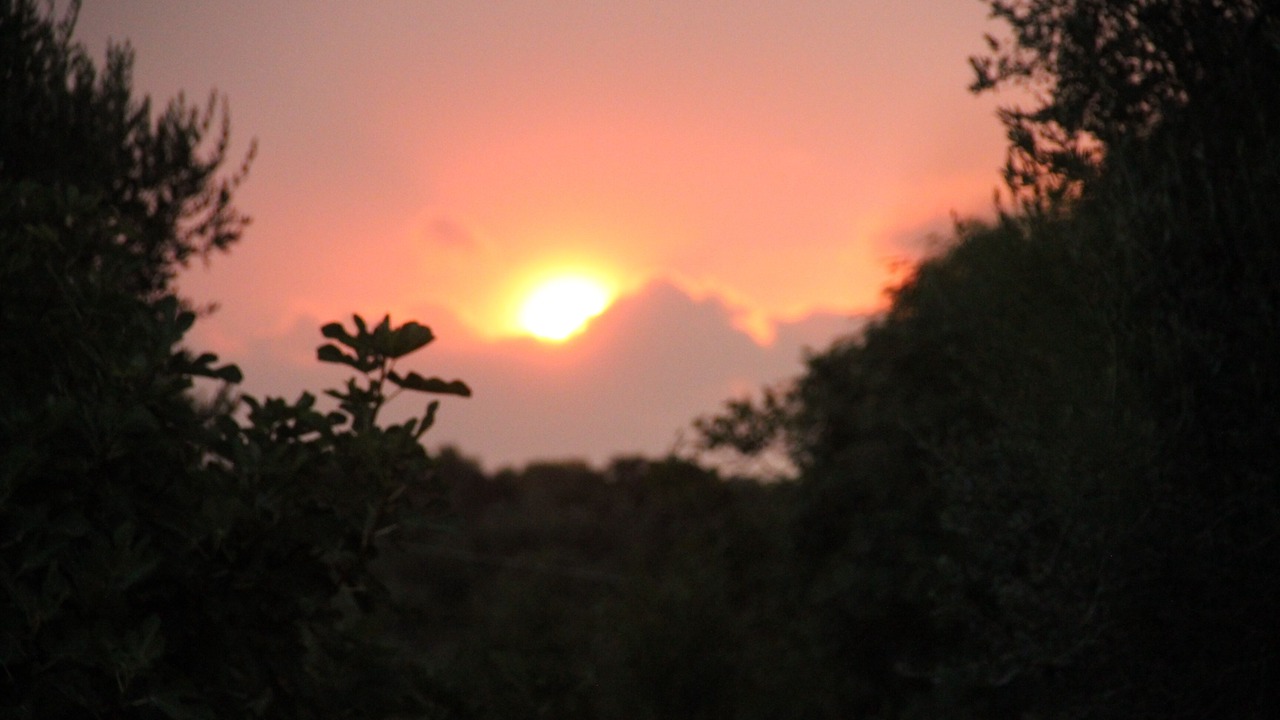 Photo of Outdoor in Ceglie Messapica