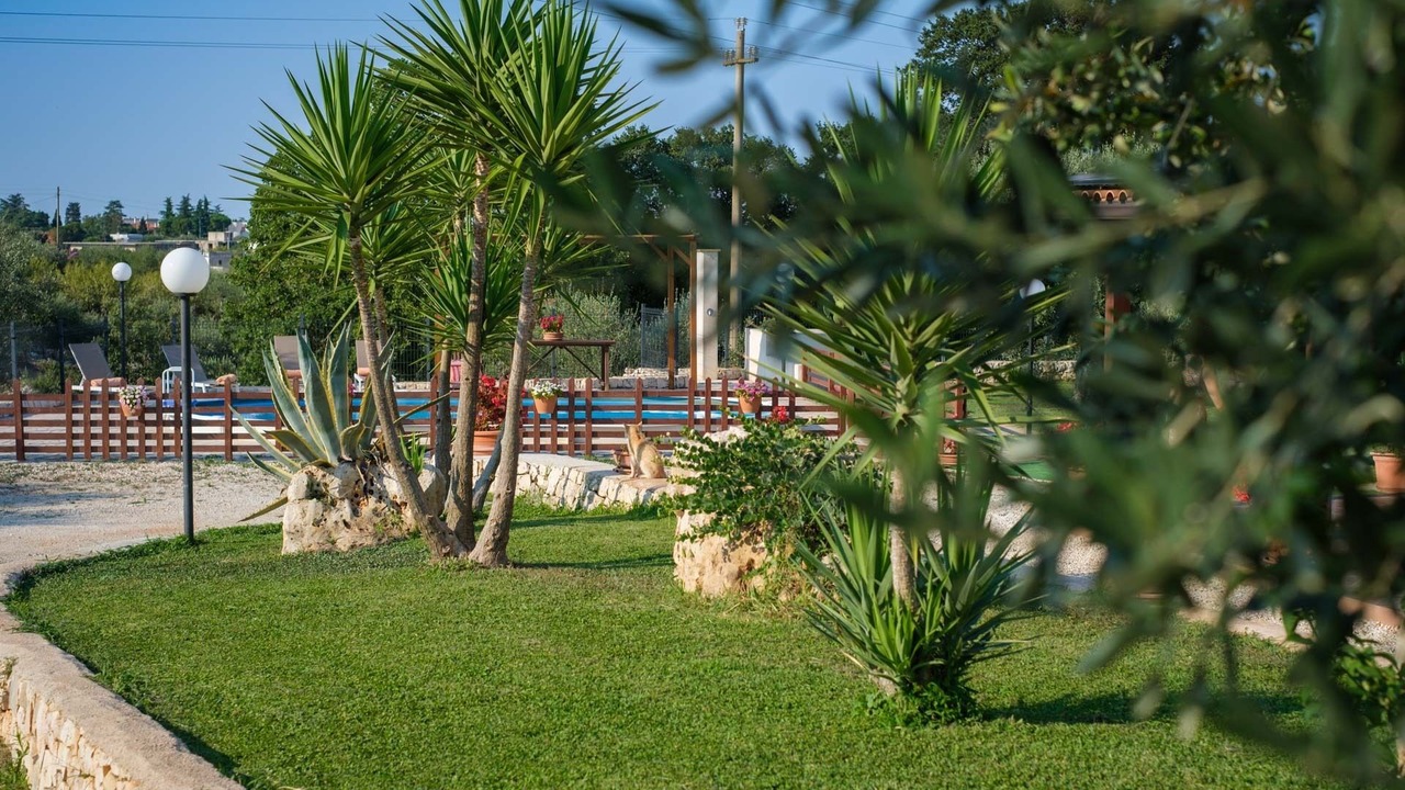 Photo of Outdoor in Castellana Grotte