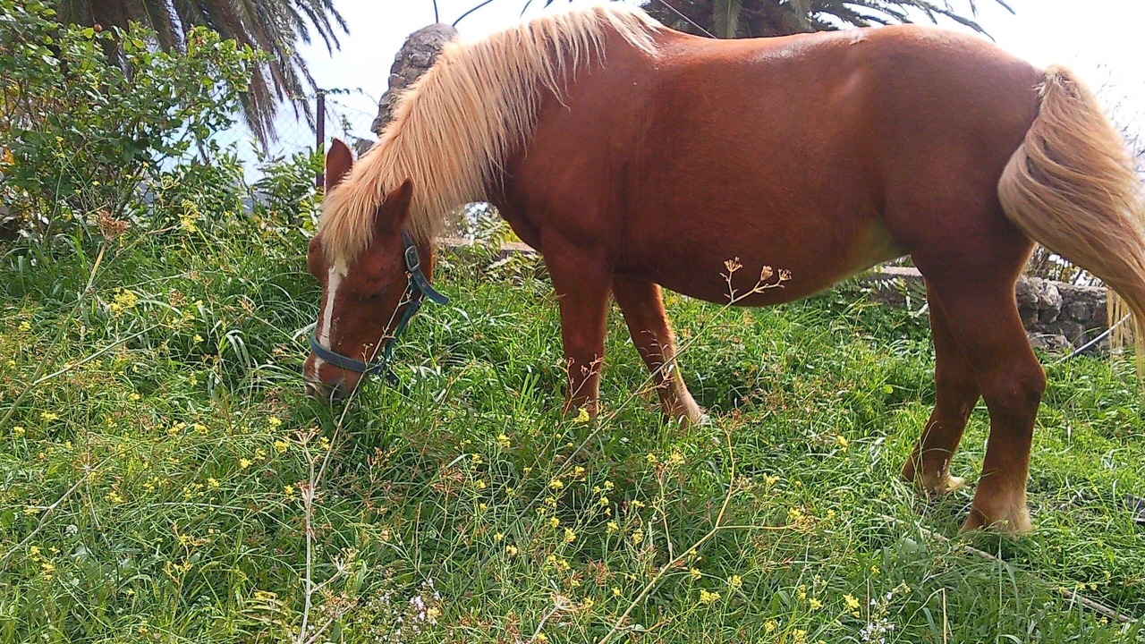 Photo of Outdoor in Cetraro