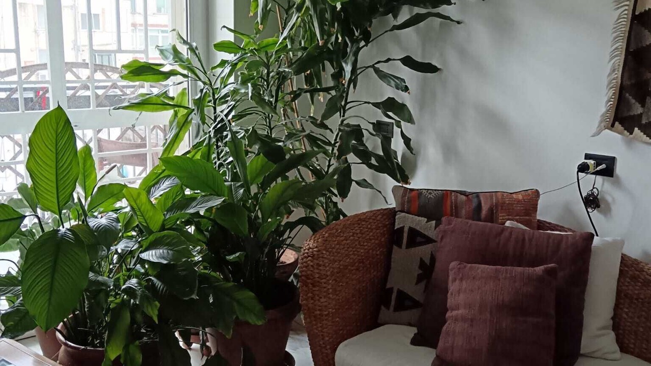 Photo of Livingroom in Bari City Centre