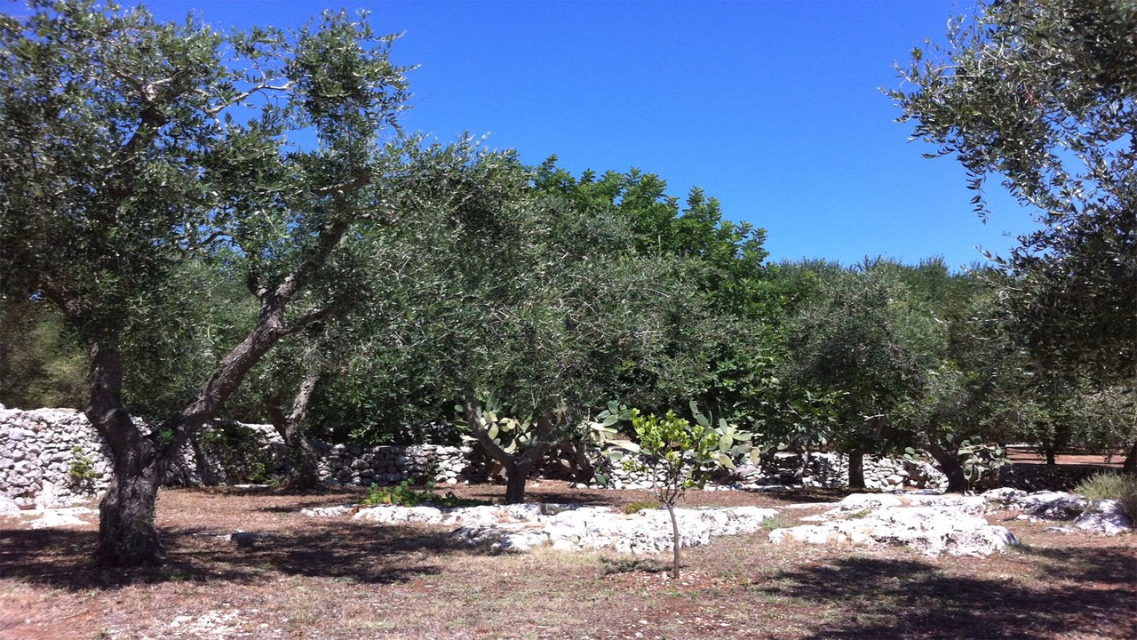 Photo of Outdoor in Marittima