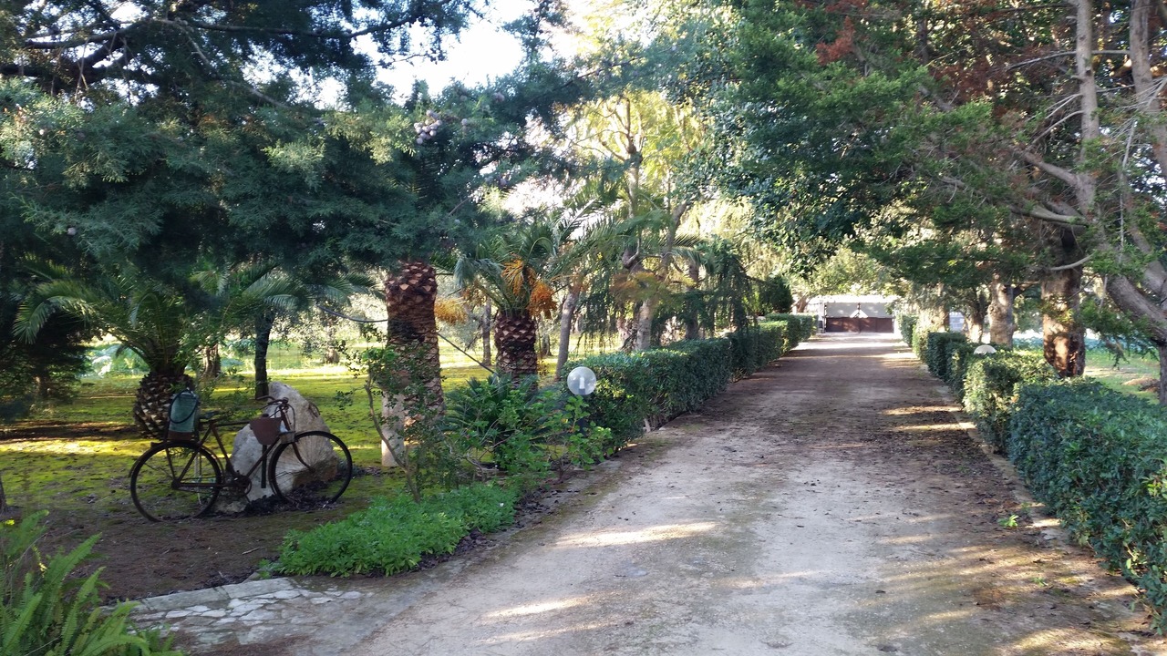 Photo of Outdoor in Il Monte