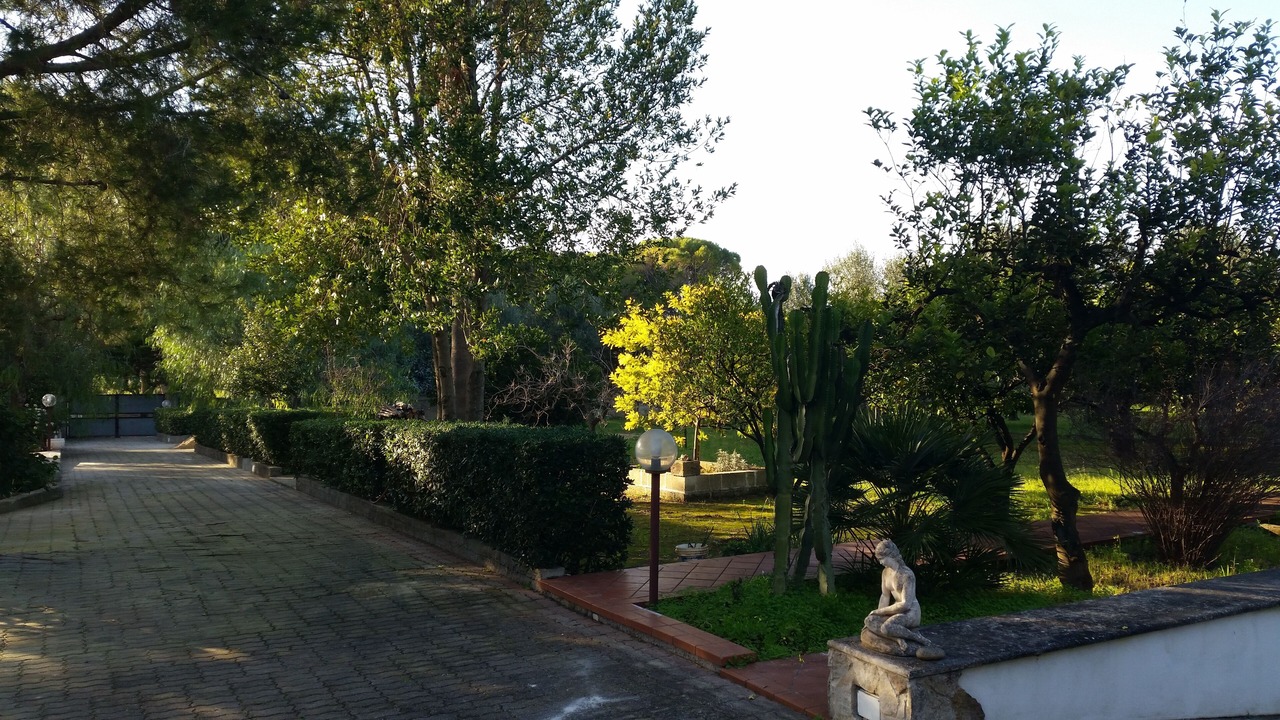 Photo of Outdoor in Il Monte
