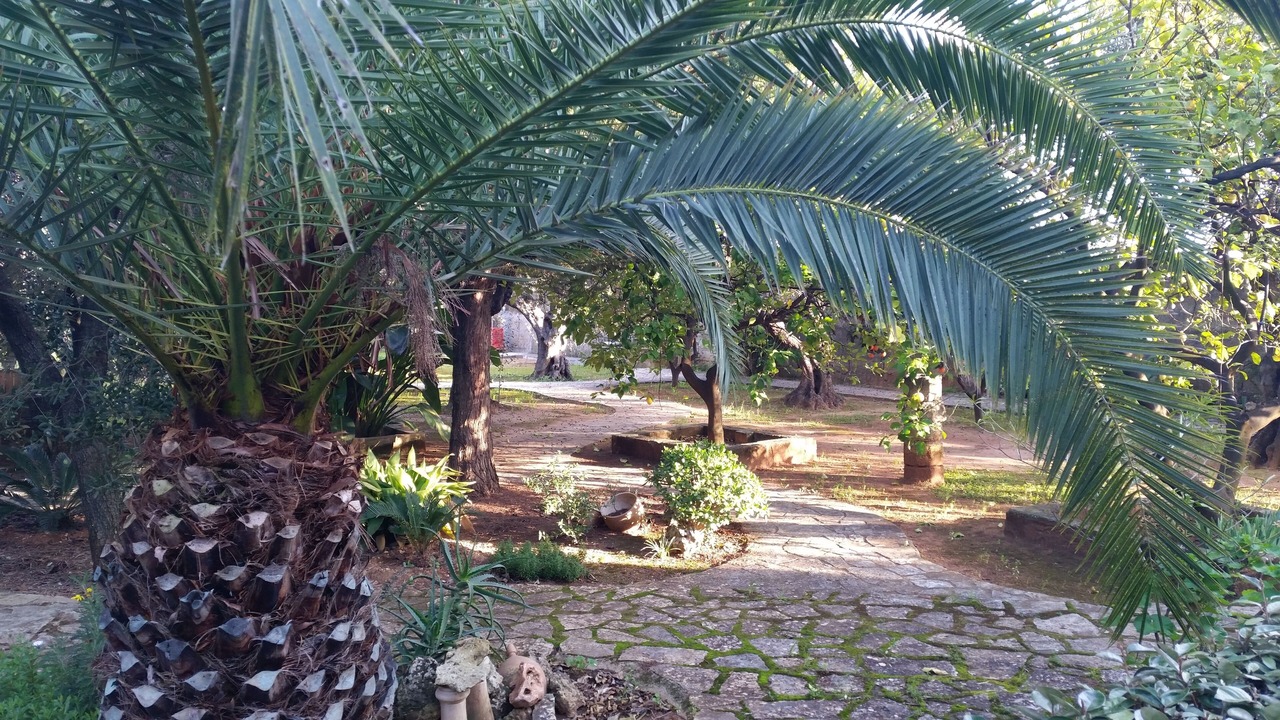 Photo of Outdoor in Il Monte