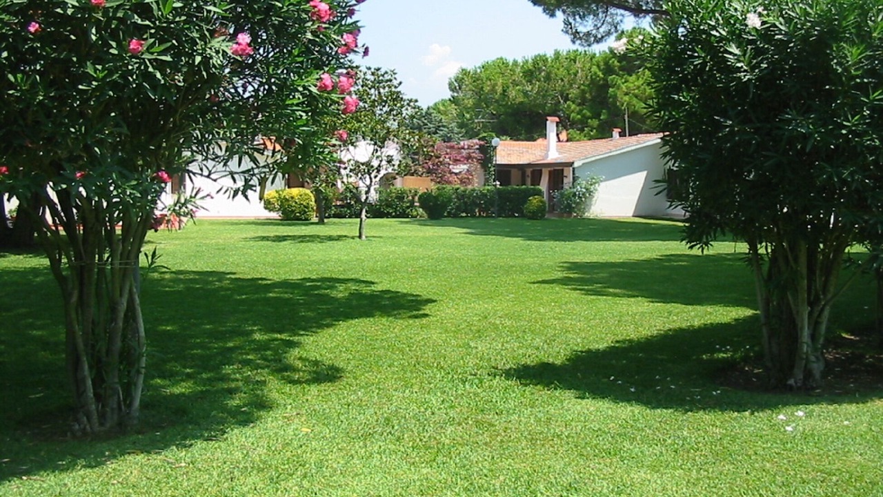 Photo of Outdoor in Laura