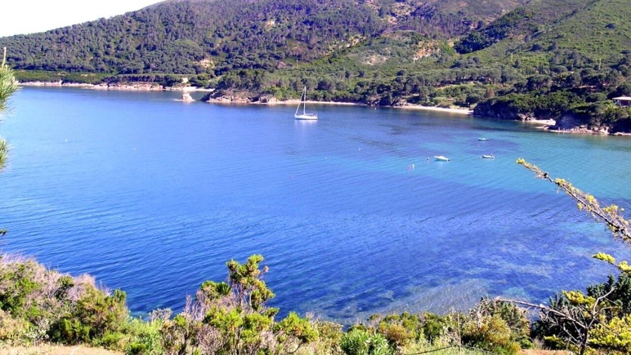 Photo of Others in Capoliveri