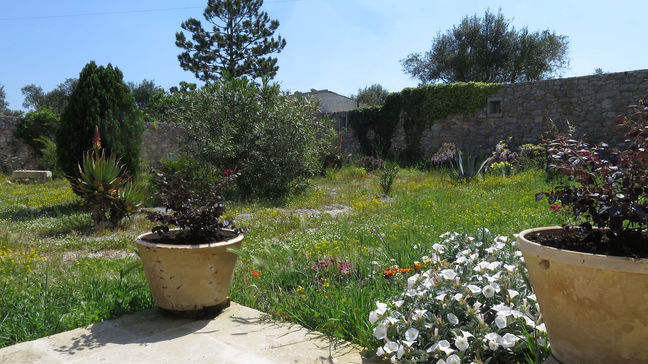 Photo of Outdoor in Carpignano Salentino