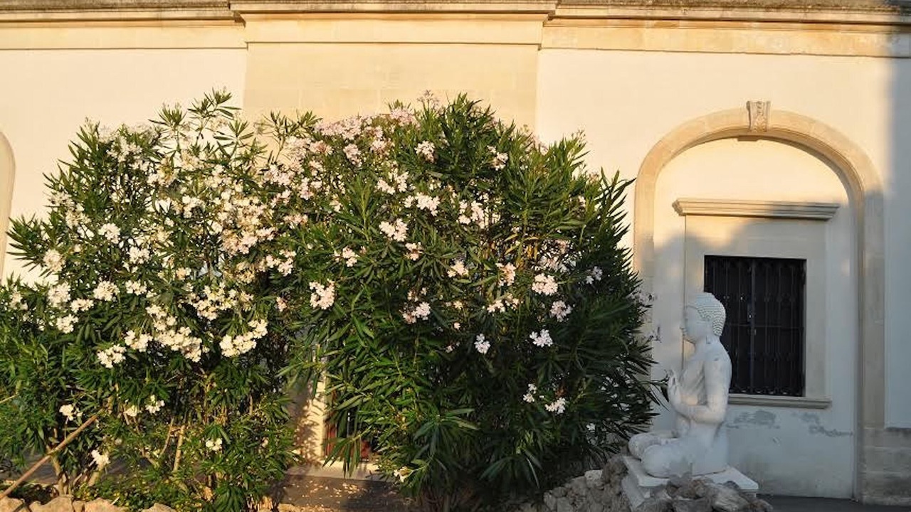 Photo of Outdoor in Castromediano