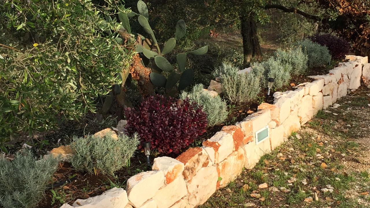 Photo of Outdoor in Cisternino