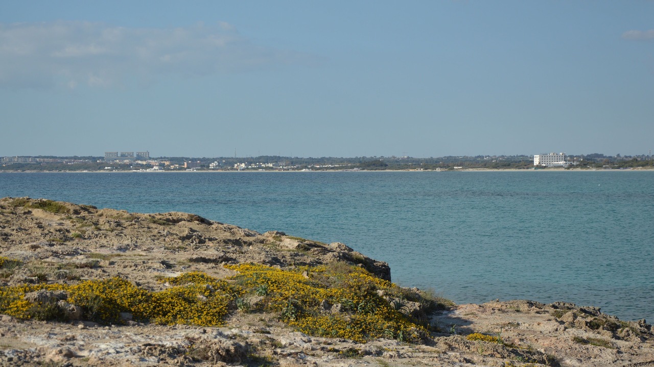 Photo of Others in Marina di Mancaversa