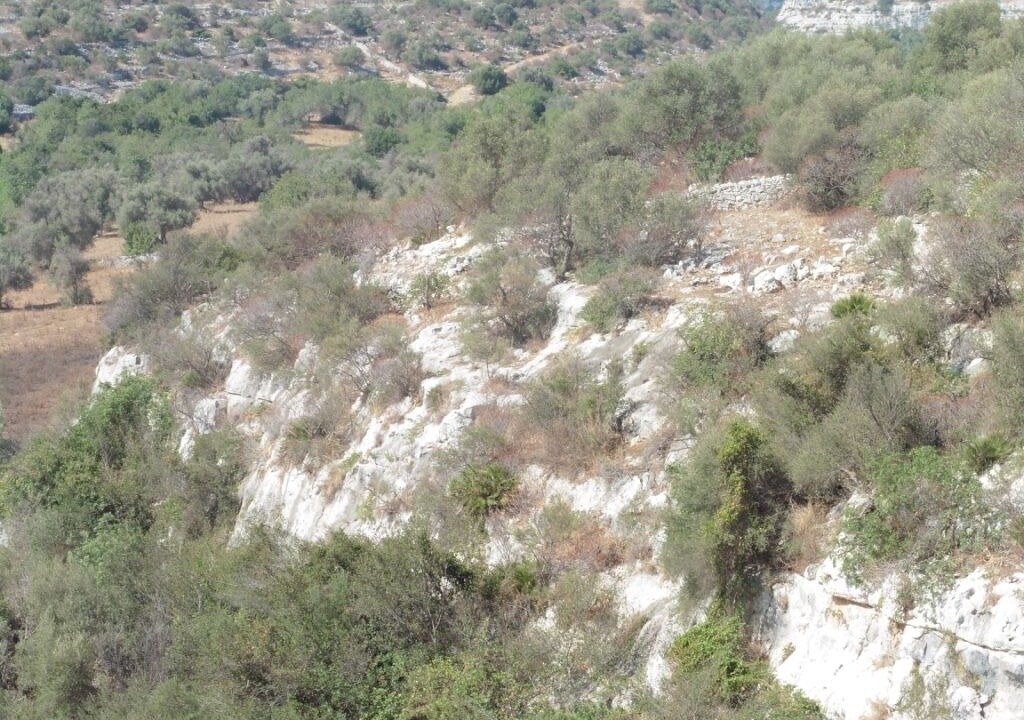 Photo of Outdoor in Casa Papa