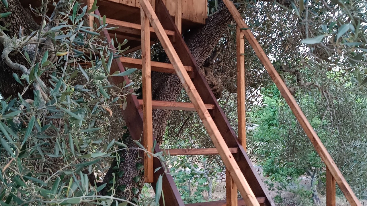 Photo of Outdoor in Ceglie Messapica