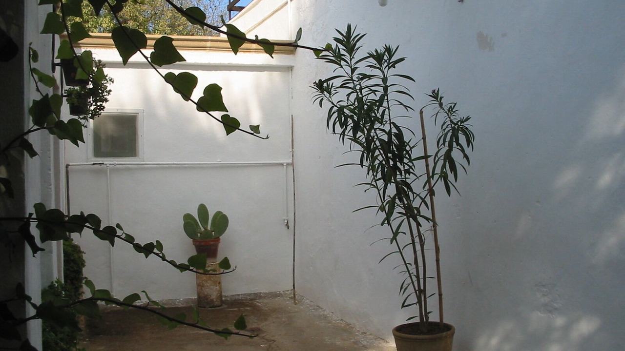 Photo of Outdoor in Il Monte