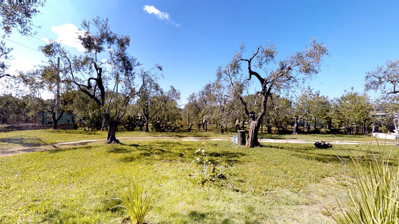Photo of Others in Chiesiola