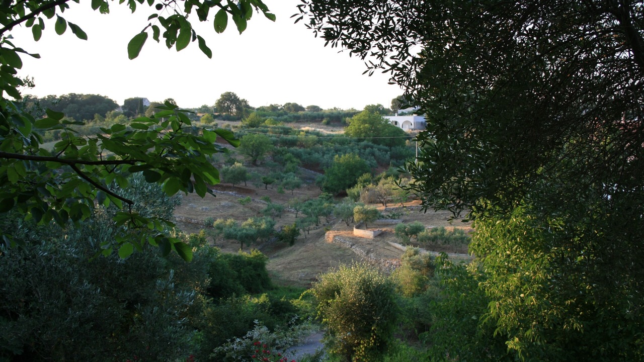 Photo of Outdoor in Martina Franca