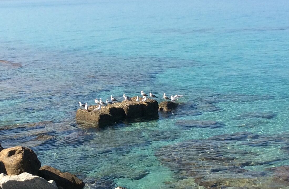 Photo of Others in Pizzo