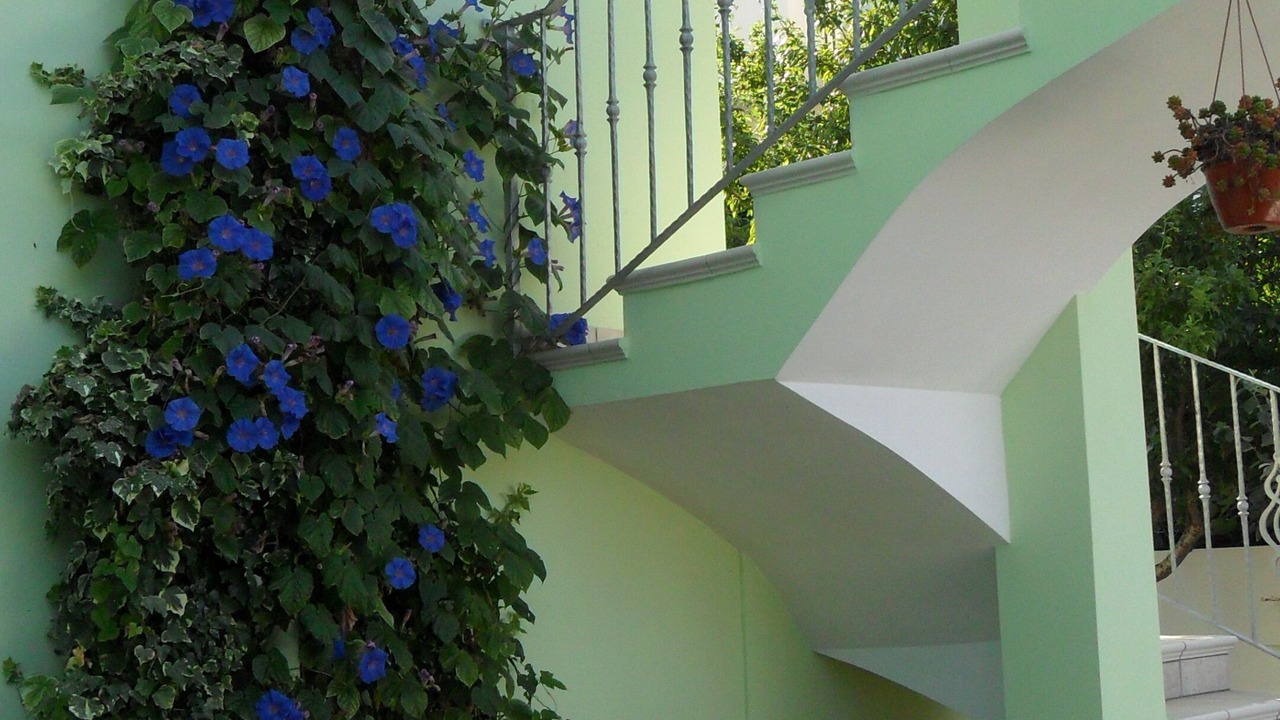 Photo of Outdoor in Alezio