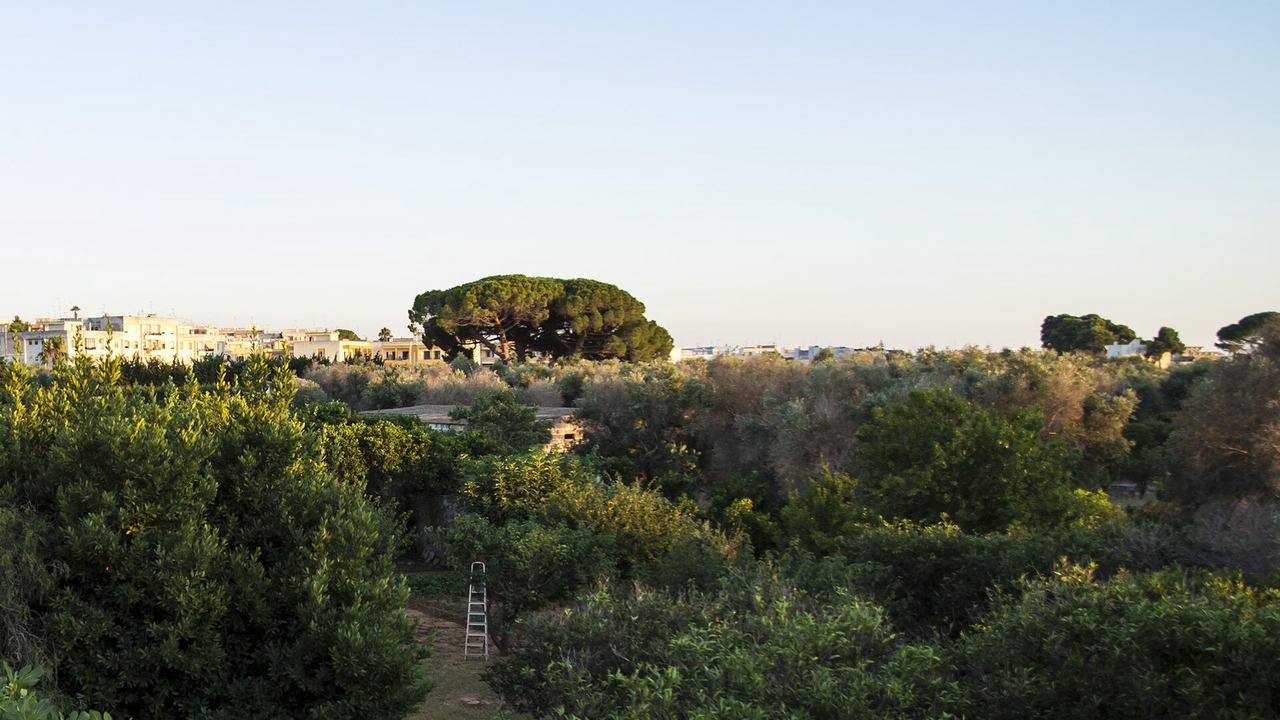 Photo of Outdoor in Alezio