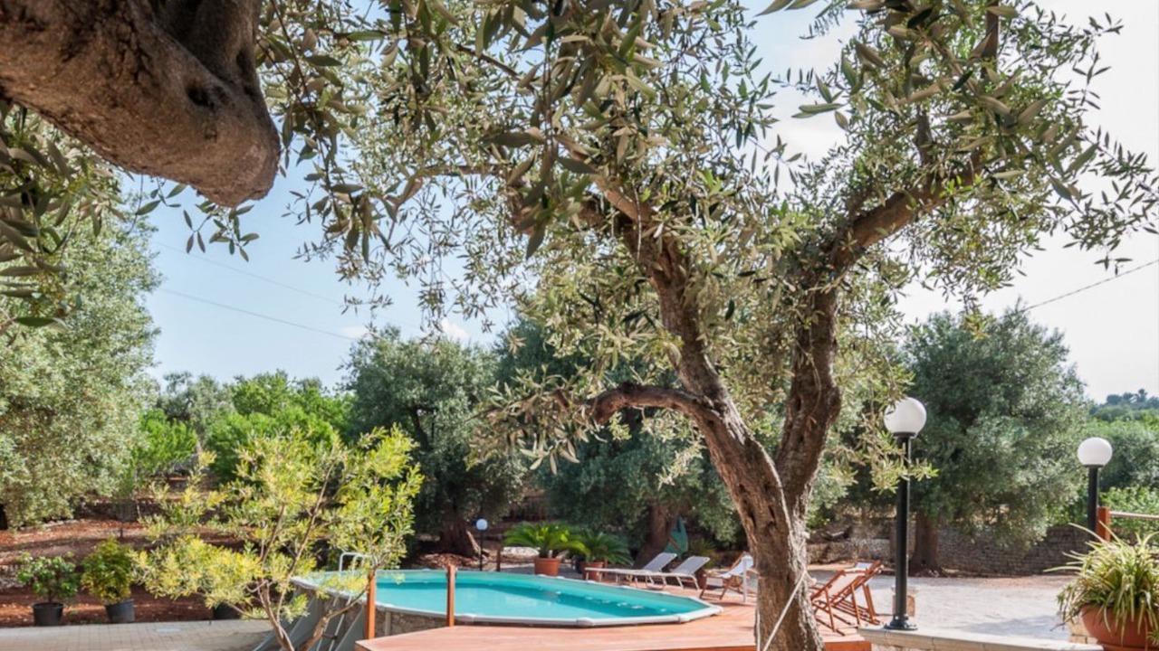 Photo of Outdoor in Monopoli