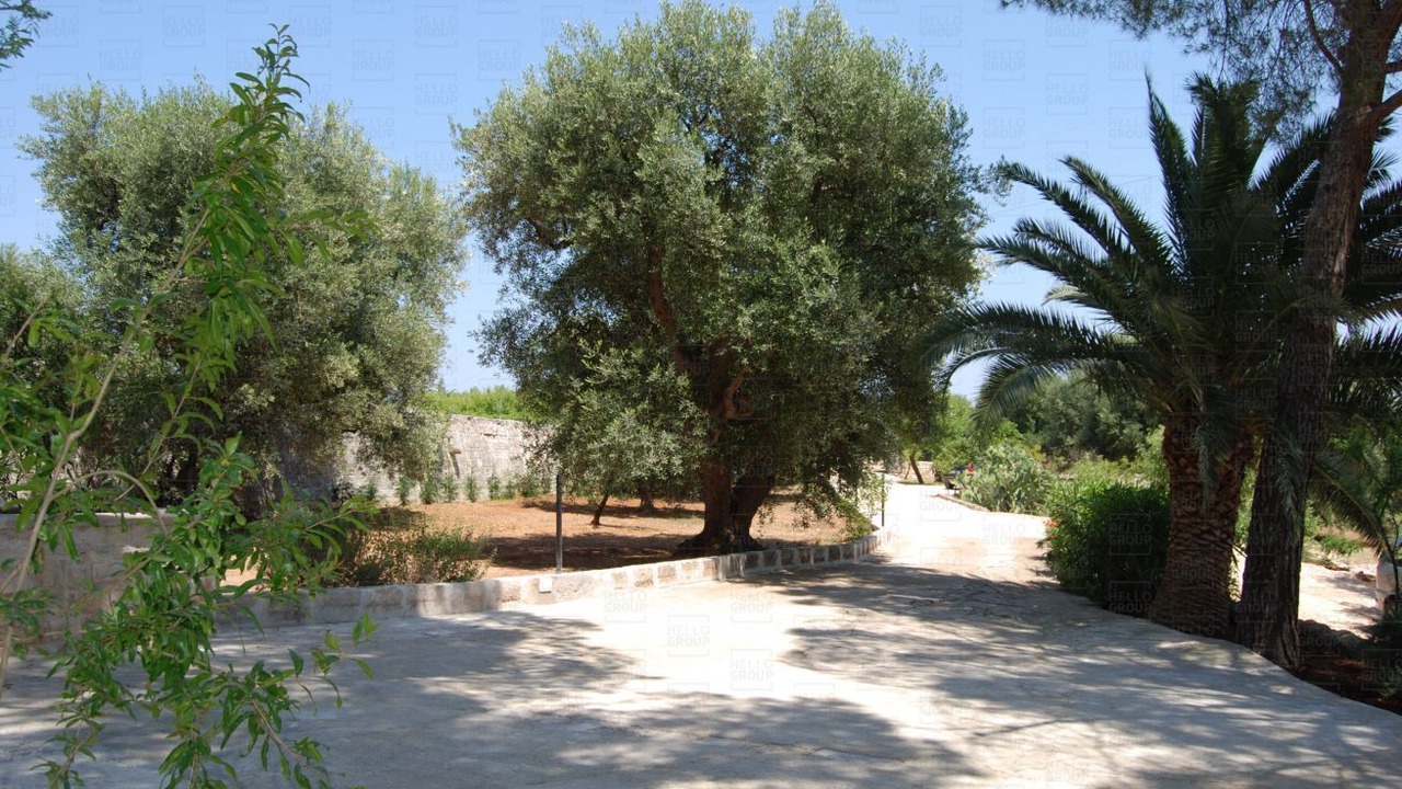 Photo of Outdoor in Monopoli