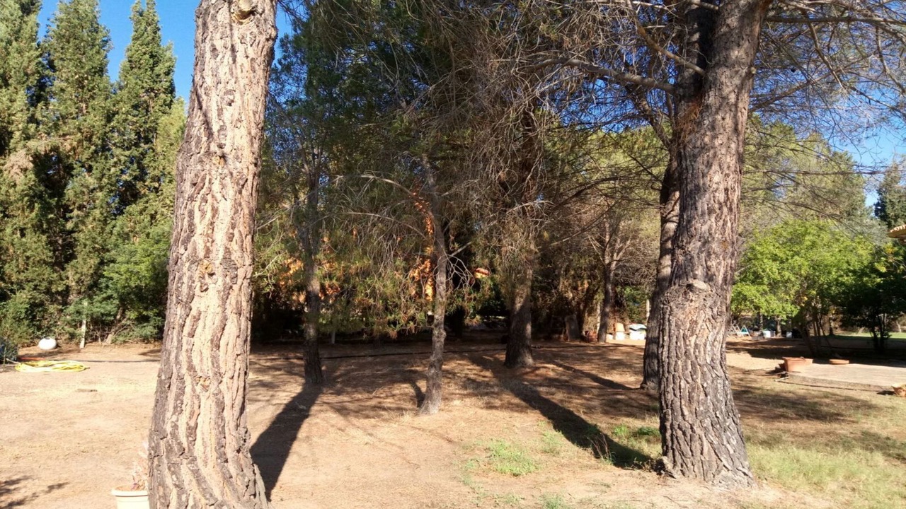 Photo of Outdoor in Pula