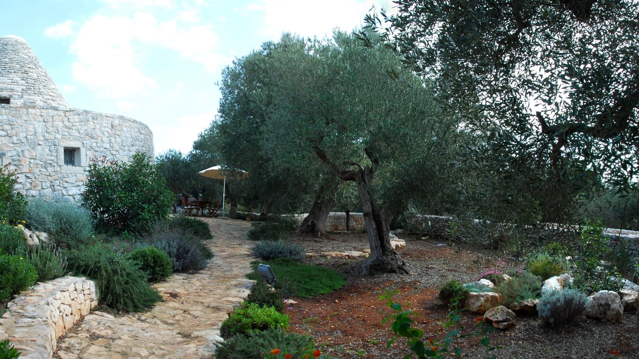 Photo of Outdoor in Cisternino