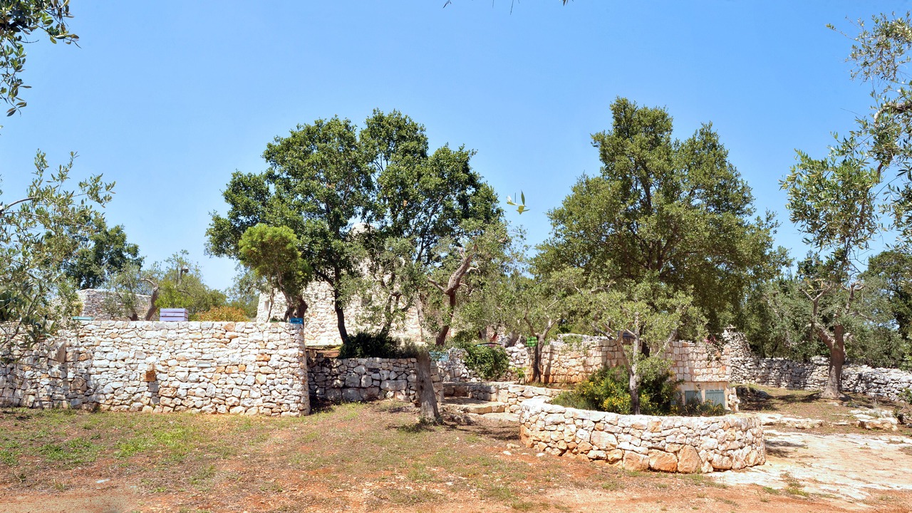 Photo of Outdoor in Cisternino