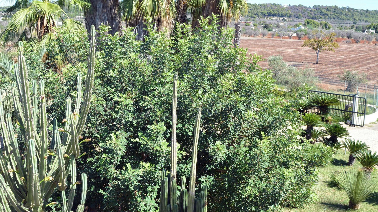 Photo of Outdoor in Casarano