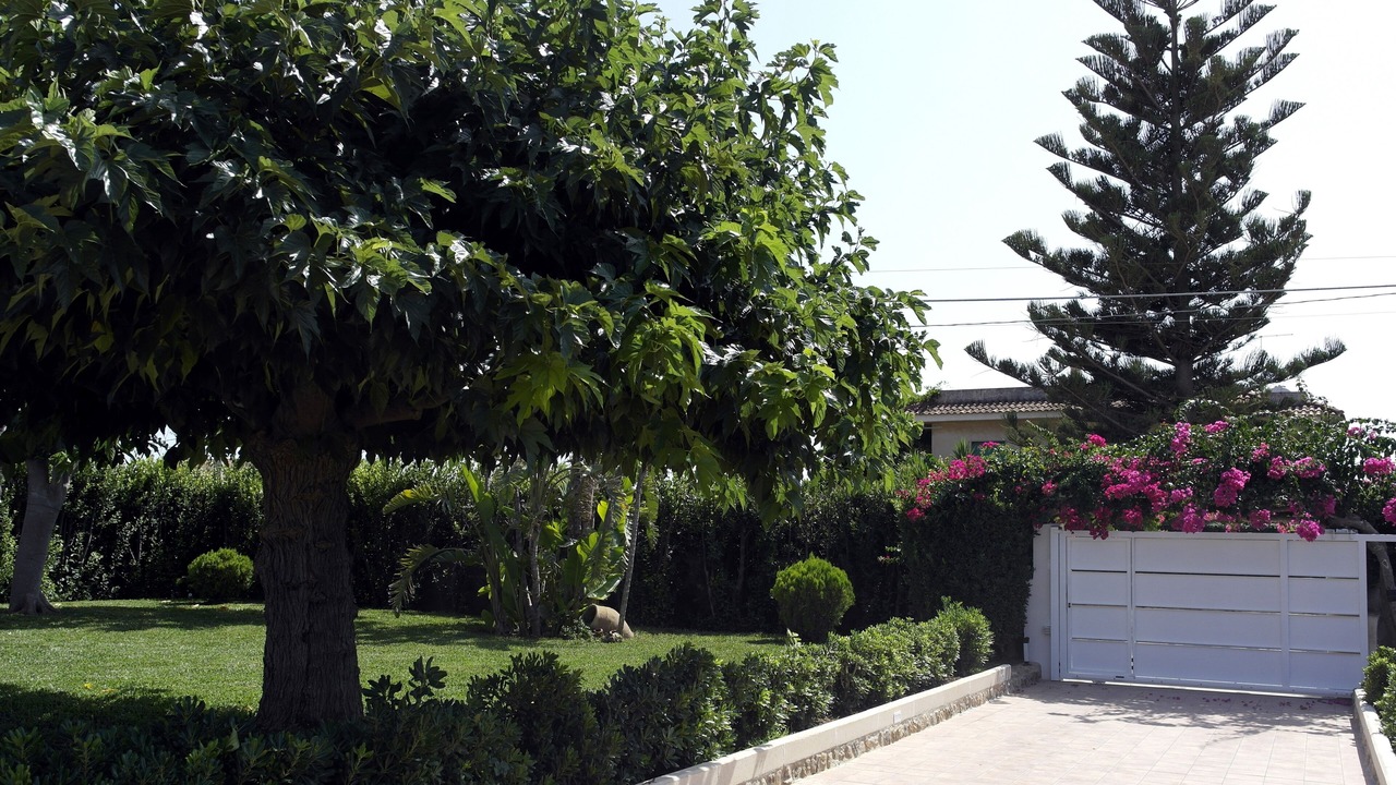 Photo of Outdoor in San Lorenzo