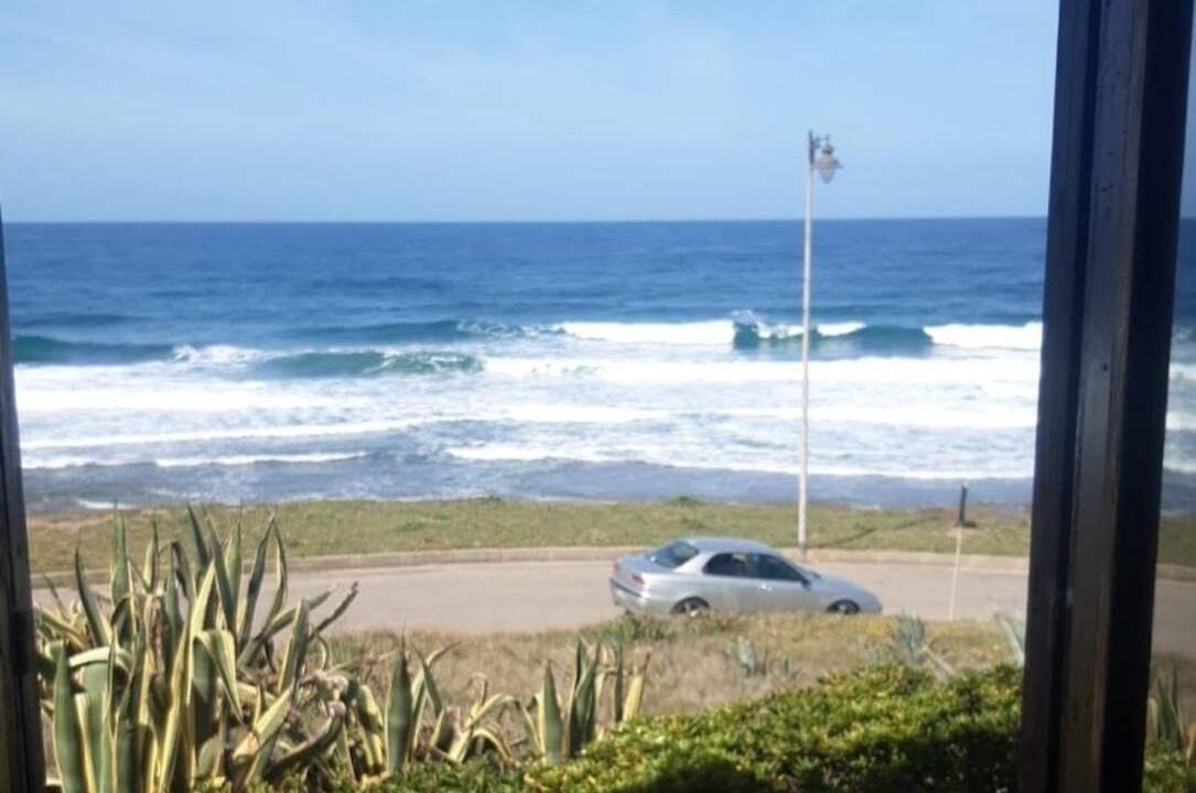 Photo of Others in Porto Alabe