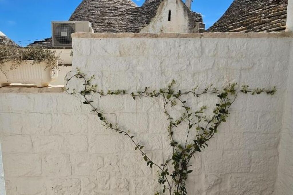 Photo of Outdoor in The Trulli of Alberobello