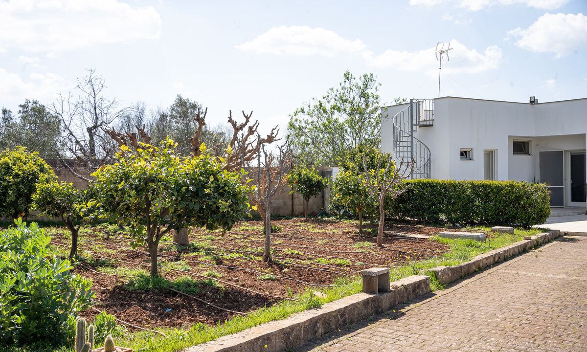 Photo of Outdoor in Ugento