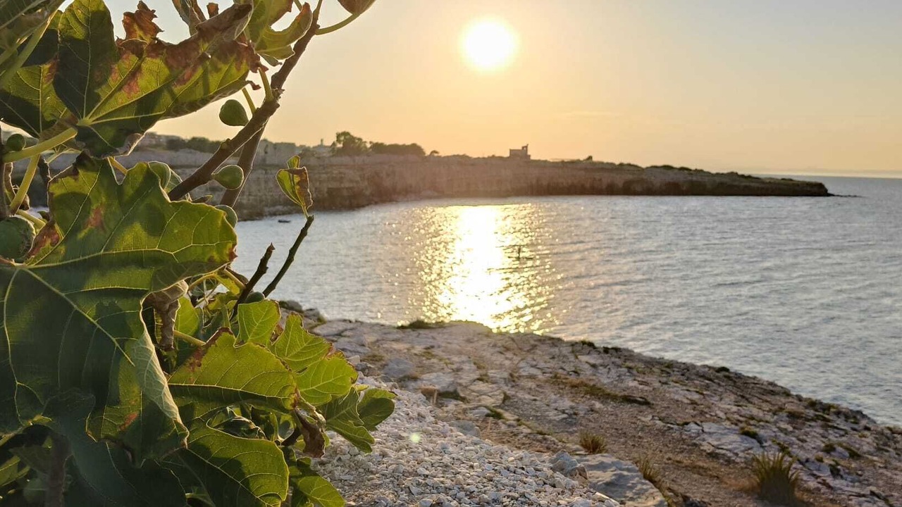 Photo of Others in Bisceglie