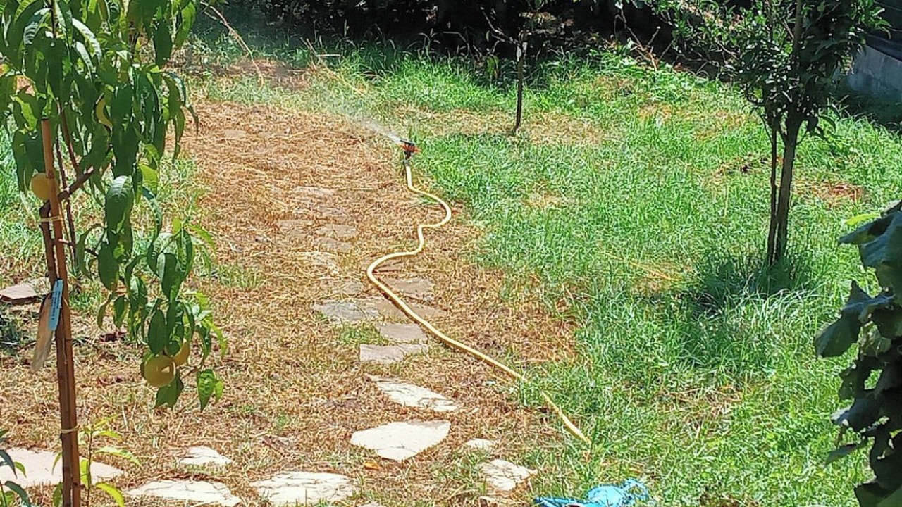 Photo of Outdoor in Ogliastro Cilento