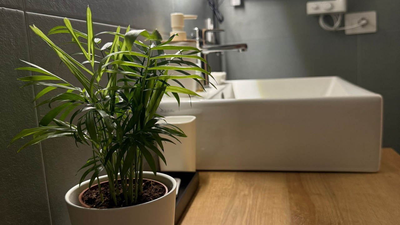 Photo of Bathroom in Trani