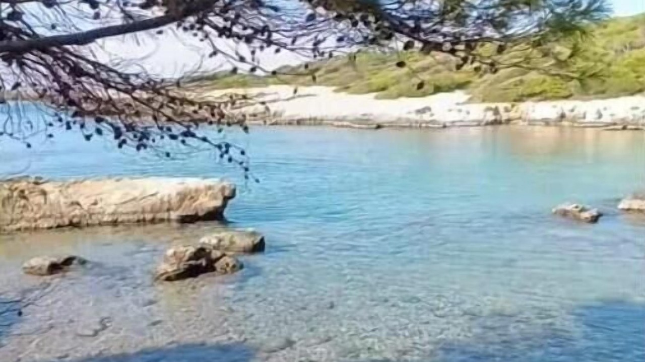 Photo of Others in Marittima