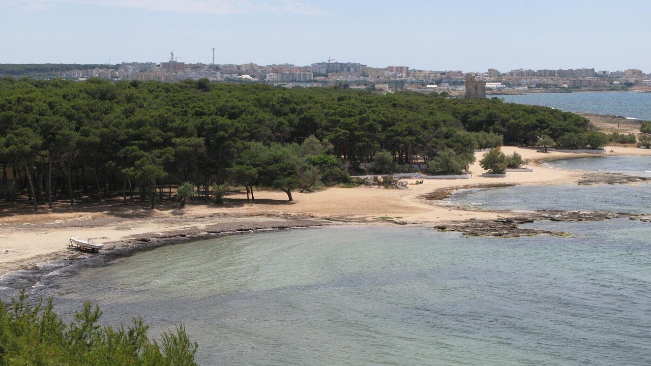 Photo of Others in Gallipoli