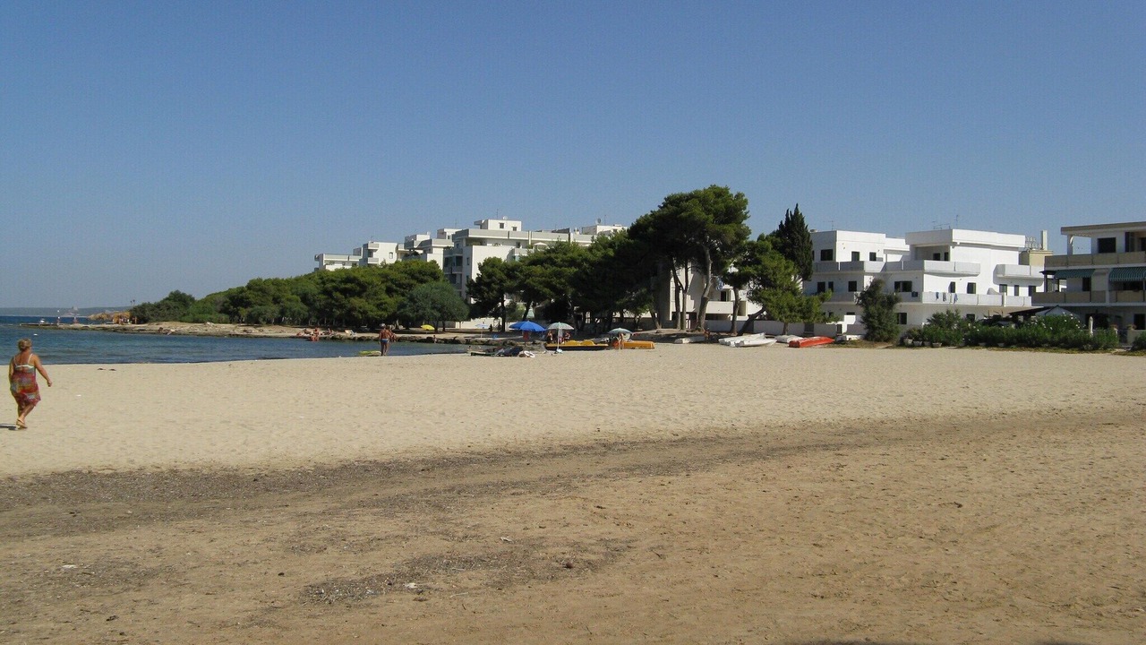 Photo of Others in Gallipoli