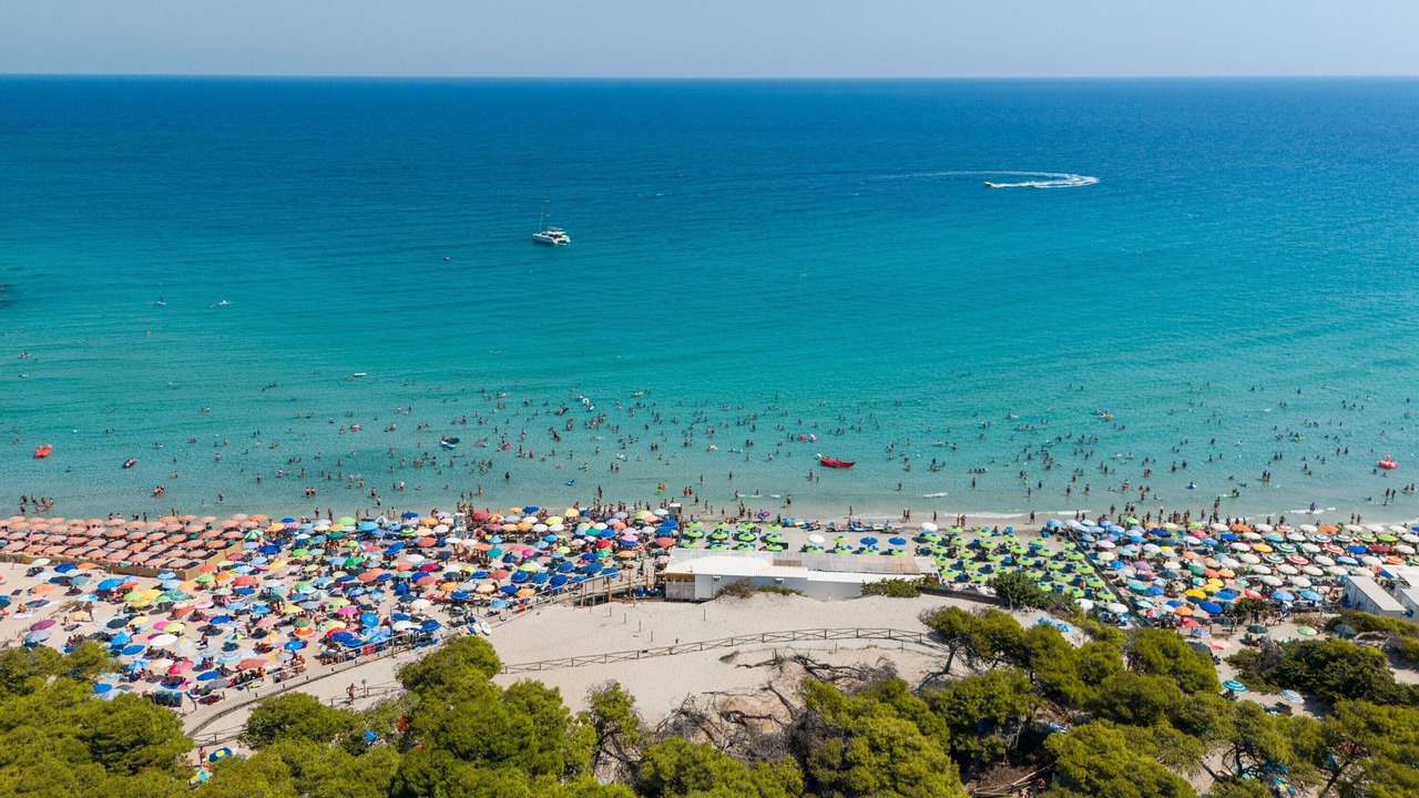 Photo of Others in Torre dell'Orso
