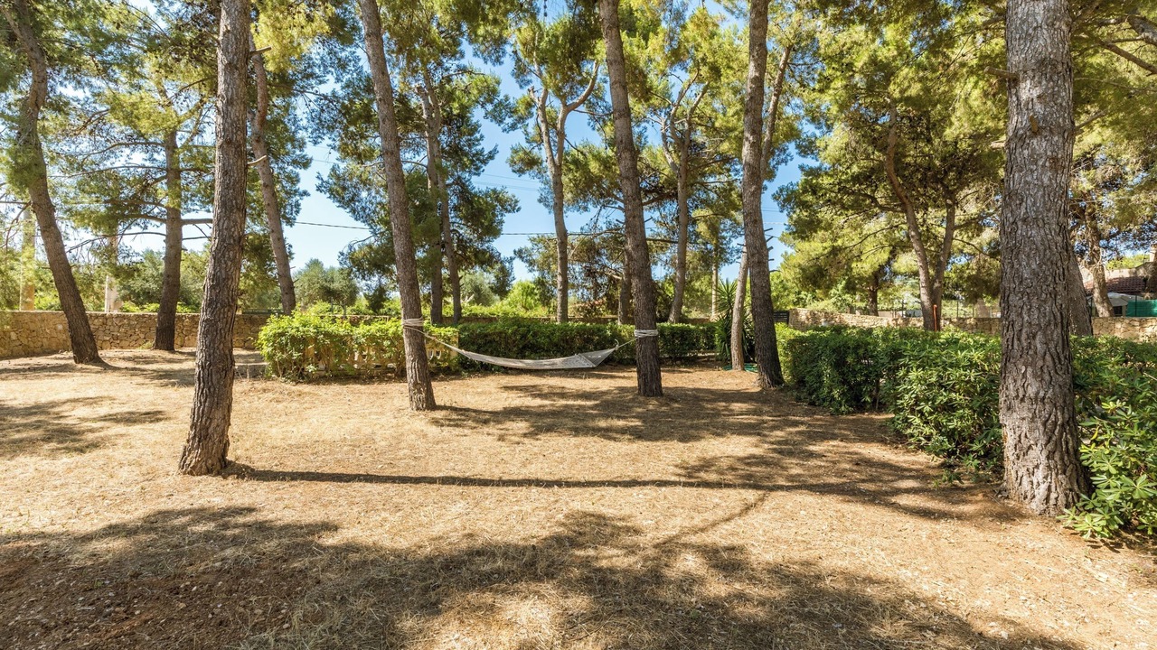 Photo of Outdoor in Maruggio