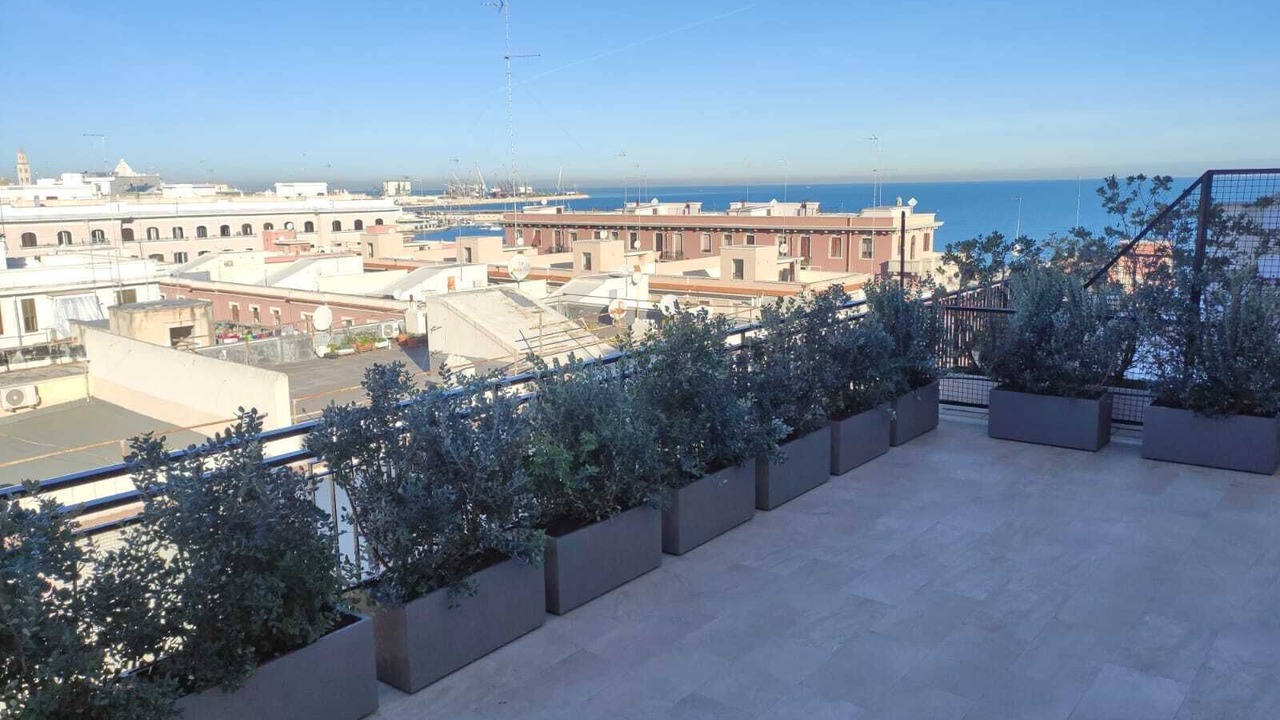 Photo of Outdoor in Municipio 1