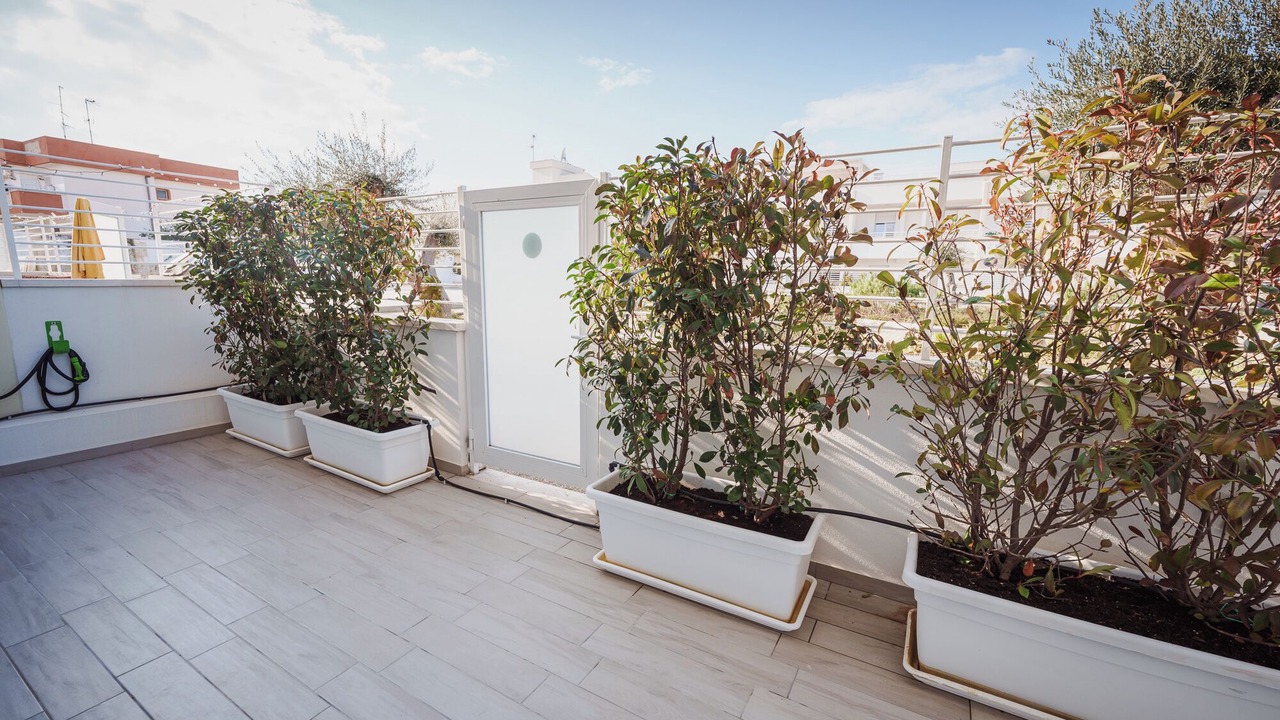 Photo of Outdoor in Municipio 1