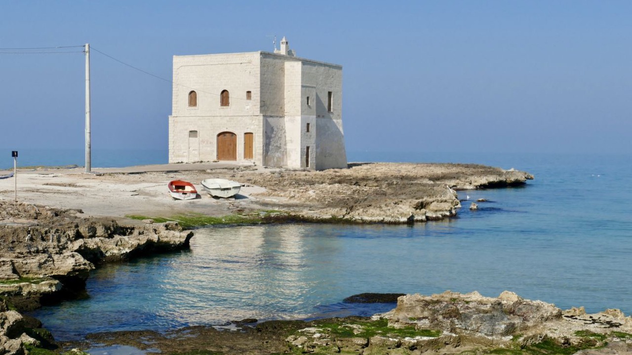 Photo of Others in Rosa Marina
